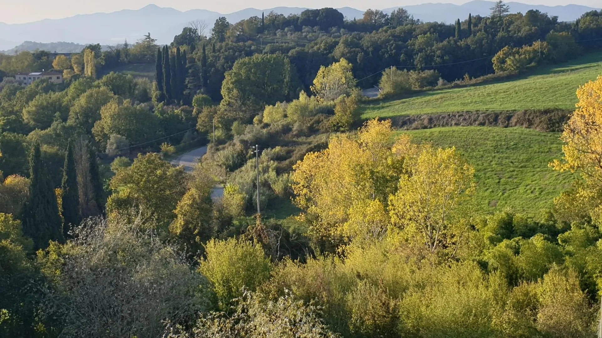 La Codirossa Apartment Agnino
