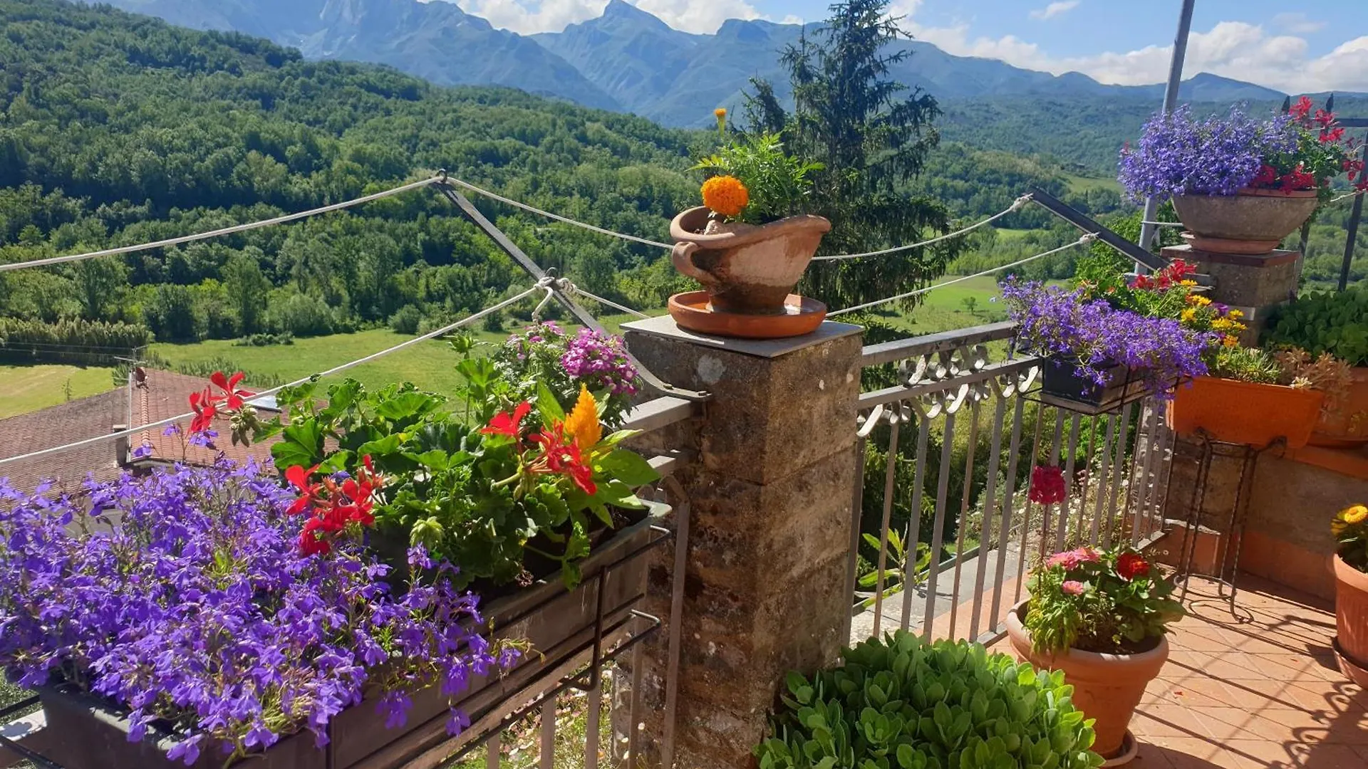 La Codirossa Apartment Agnino